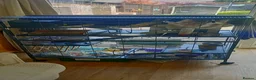 Rat rodents for sale: 3 Male rats plus cage, food and bedding etc in Cheltenham - Advert 11
