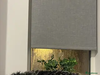 Domestic Shorthair cats Tuxedo cat male looking for a loving home. - Advert 3