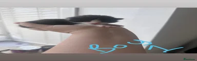 Mixed Breed 1