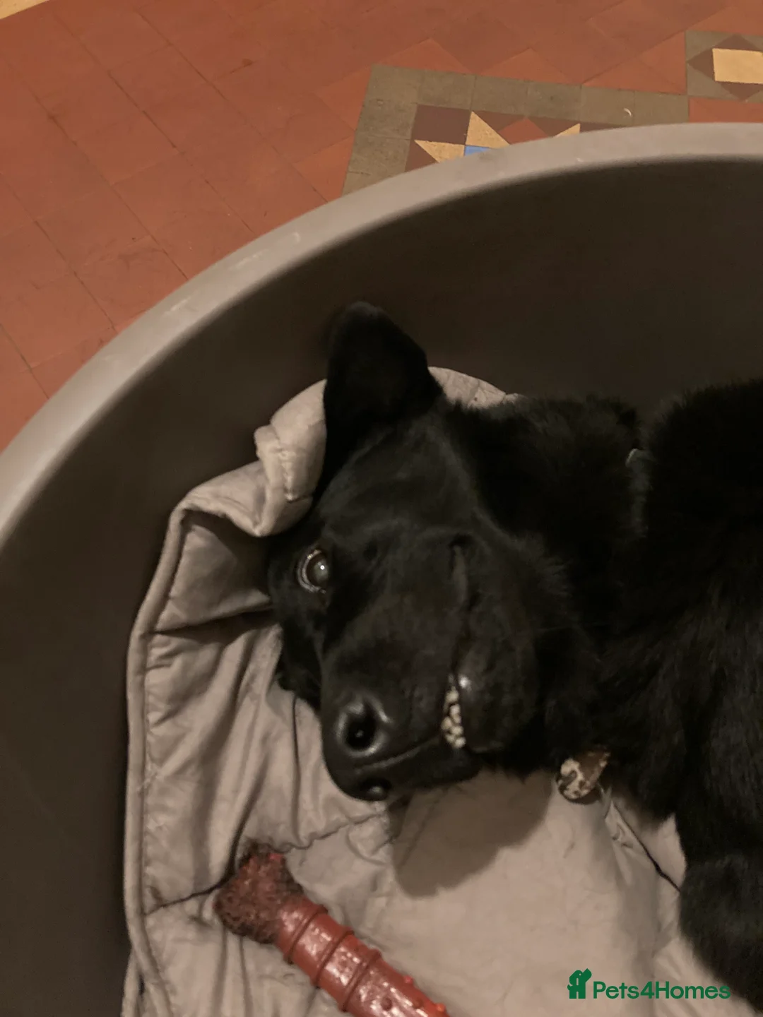 Gallery Image {{count}}