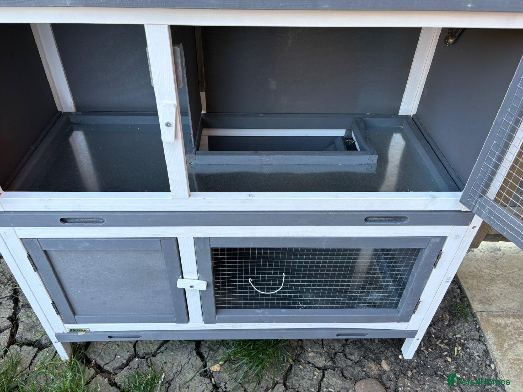Netherland Dwarf rabbits for sale: Rabbit hutch / run for sale  - Advert 3