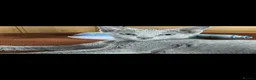 Russian Blue cats for sale: GCCF gorgeous kittens - Advert 8