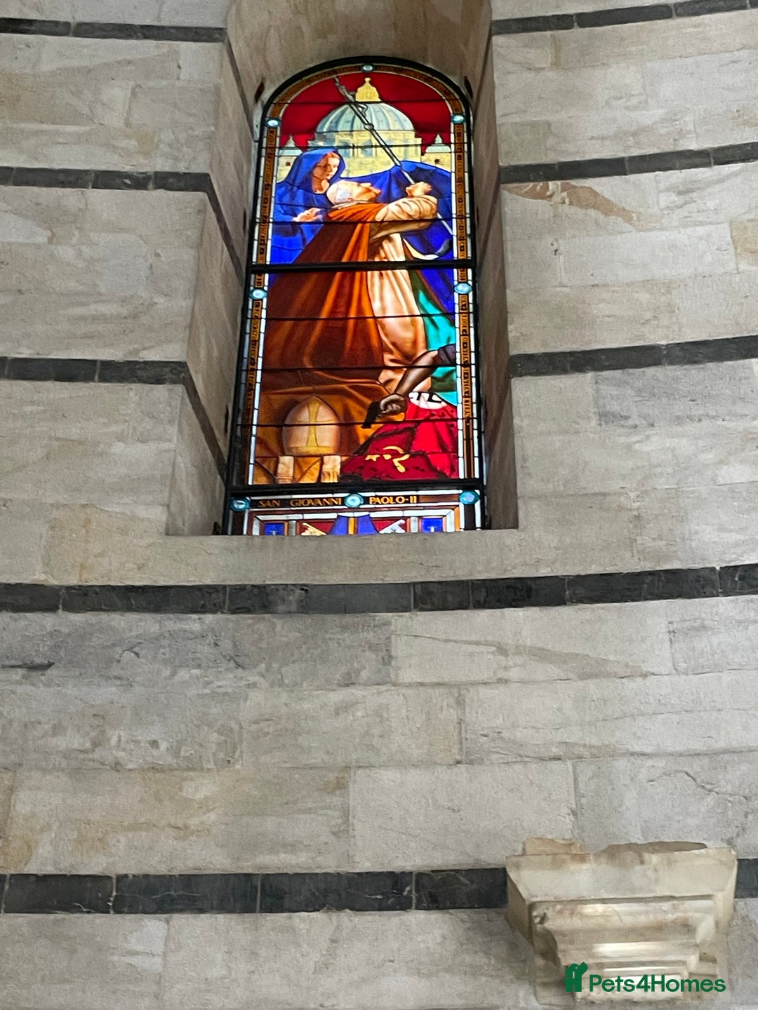 Maine Coon cats for sale: Beutiful Female Maine Cone 10 months old for sale  - Advert 4