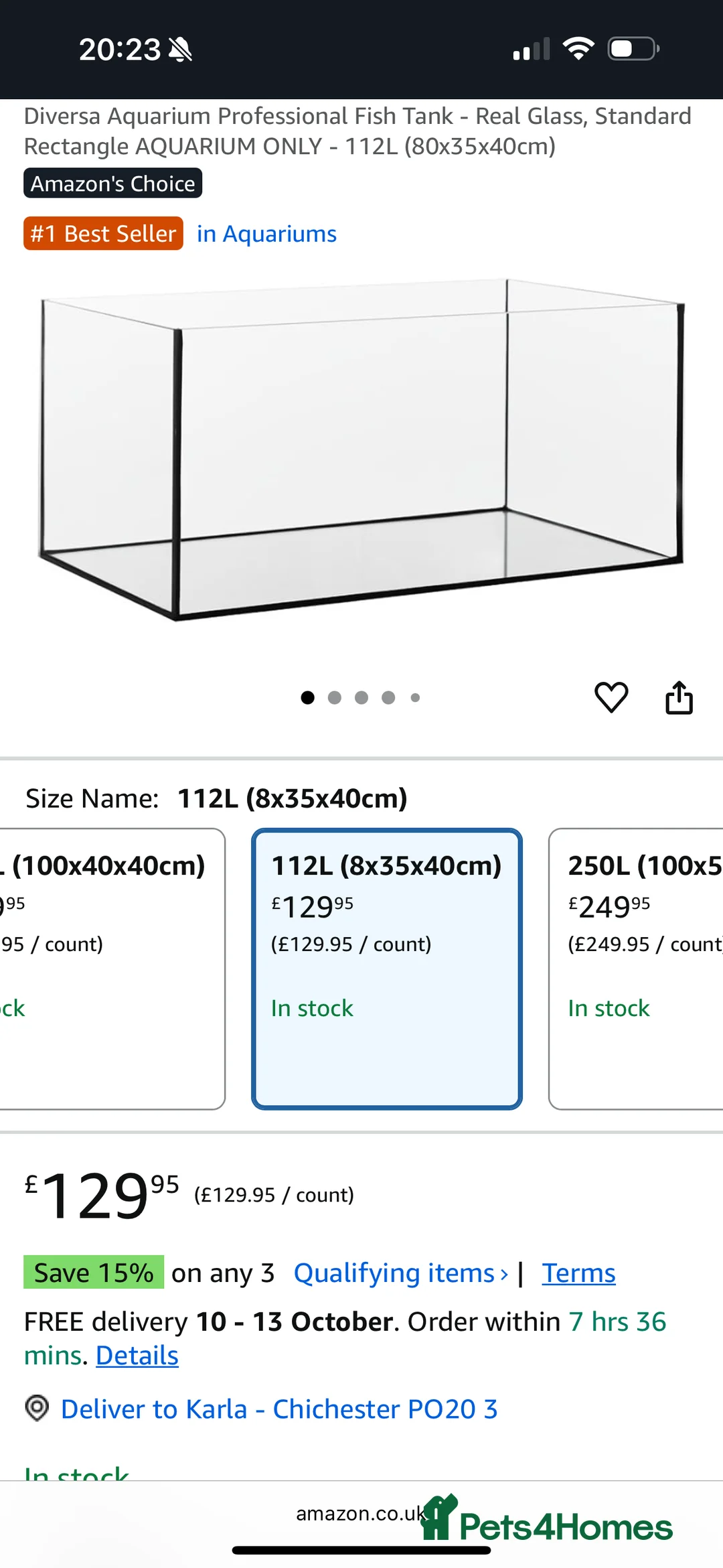 Axolotl reptiles for sale: Axolotl - Advert 4