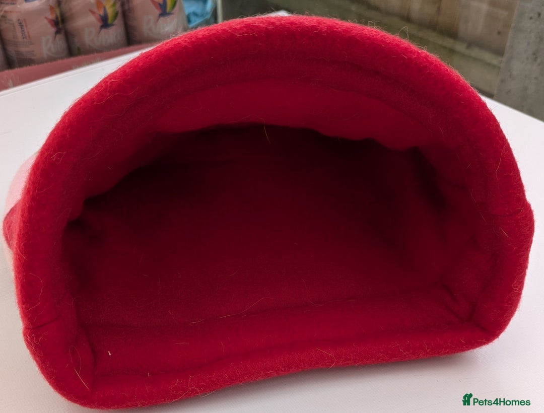 Guinea Pig rodents for sale: Guinea pig/rabbit snuggle sock/bedding  - Image 4
