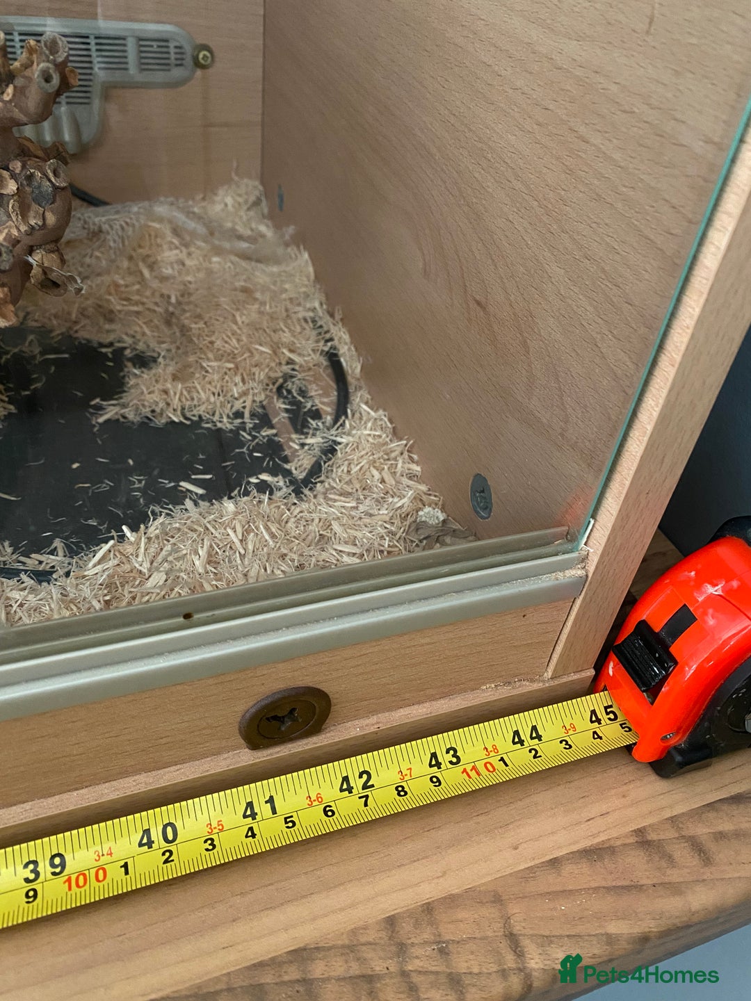 Corn Snake reptiles for sale: 10 years old comes with full set up - Advert 8