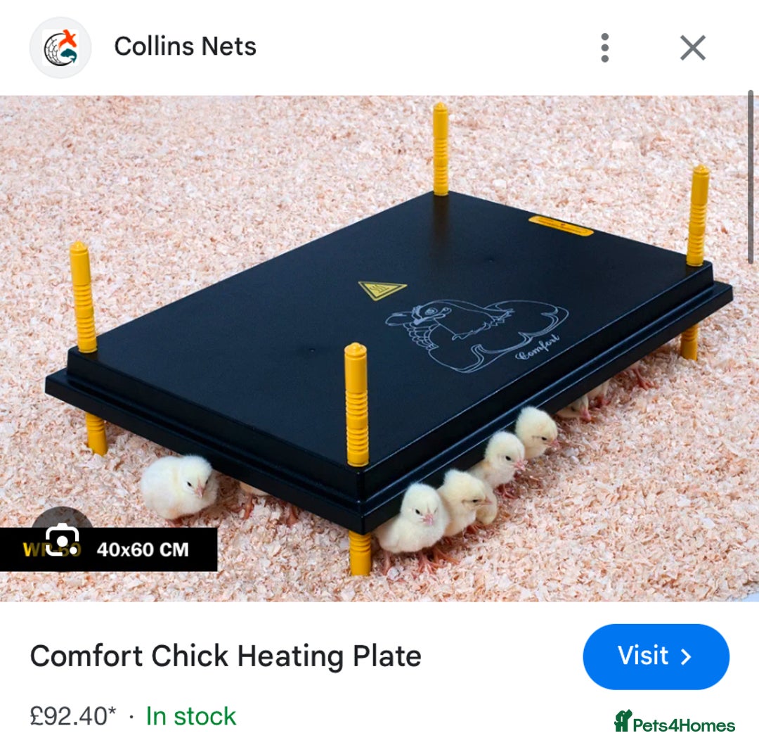 Chickens poultry for sale: Incubators, candlers, brooder, auto doors - Advert 8