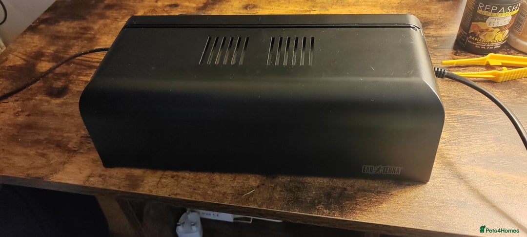 Gecko reptiles for sale: Full setup komodo  - Image 9