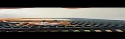 Gecko reptiles for sale: Crested gecko babies  - Advert 1