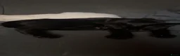 Mixed Breed cats for sale: Two 11 week old kittens in Cannock - Advert 1