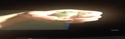 Frog reptiles for sale: Whites tree frogs in Grimsby - Advert 1
