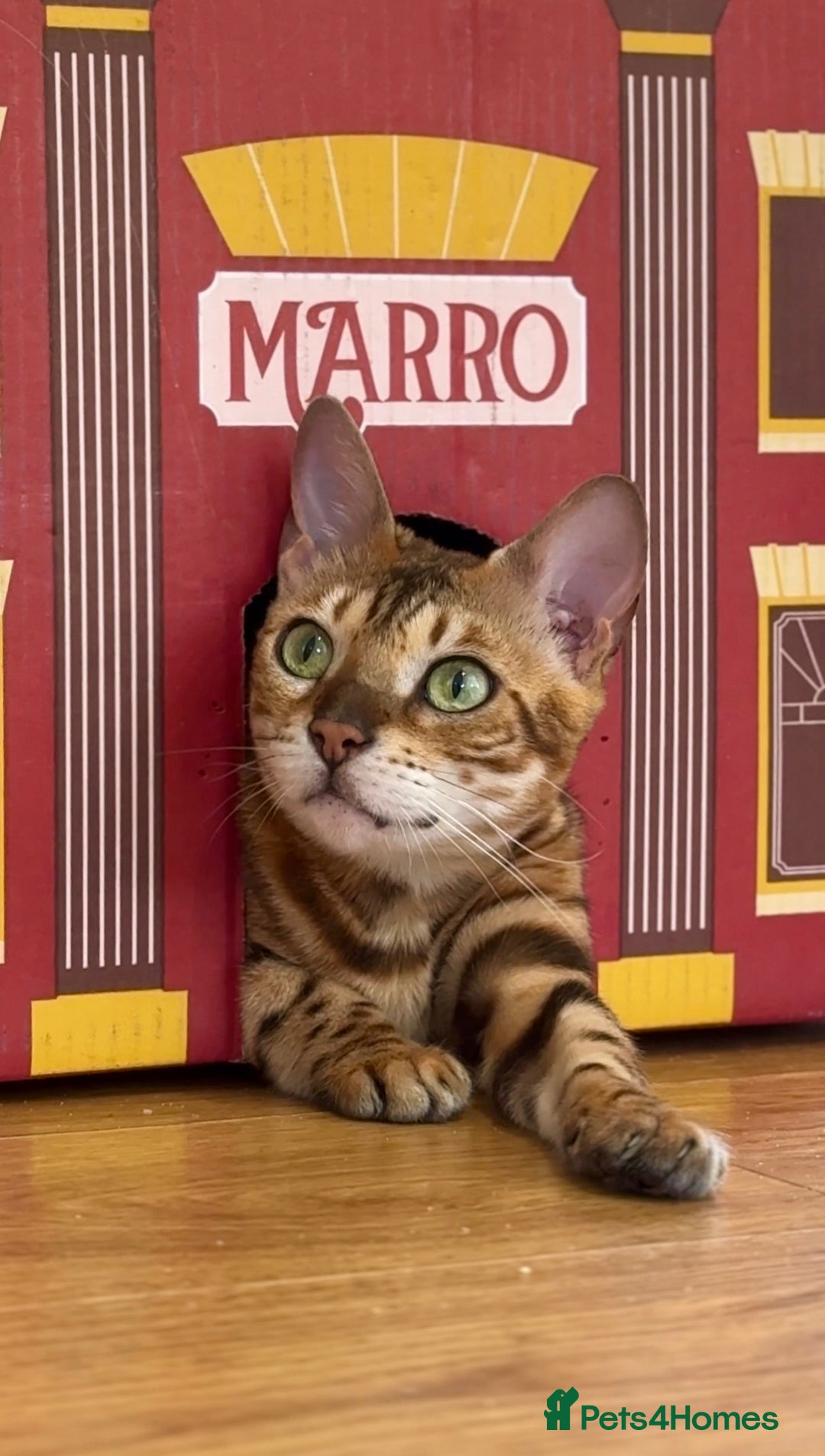 Gallery Image {{count}}