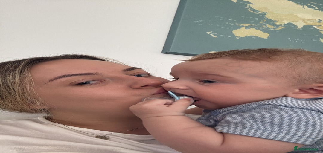 Gallery Image {{count}}