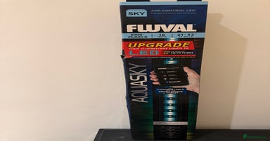 Turtle reptiles Turtles with Juwel Aquarium Full Setup - Advert 15