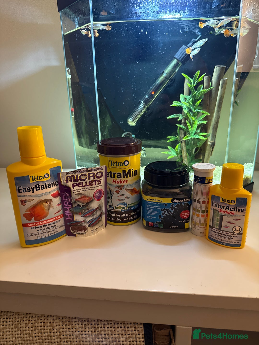 Other/Mixed Breed fish for sale: Guppies with 25L tank  - Image 8