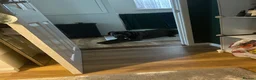 Cane Corso dogs for sale: Kane 2.5 year old Cane Corso  in Clacton-on-Sea - Advert 4