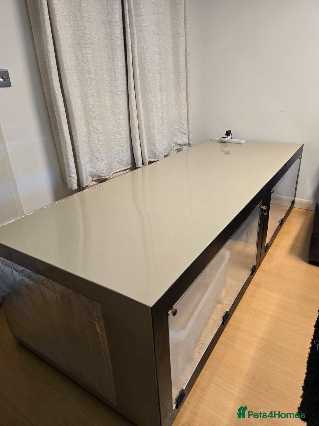 Python Snake reptiles for sale: Snake for sale - Image 7