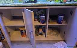 Other/Mixed Breed fish for sale: 4ft fishtank complete setup with stock of fish  - Image 2