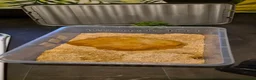 Corn Snake reptiles for sale: Corn snake with enclosure in Birmingham - Advert 5