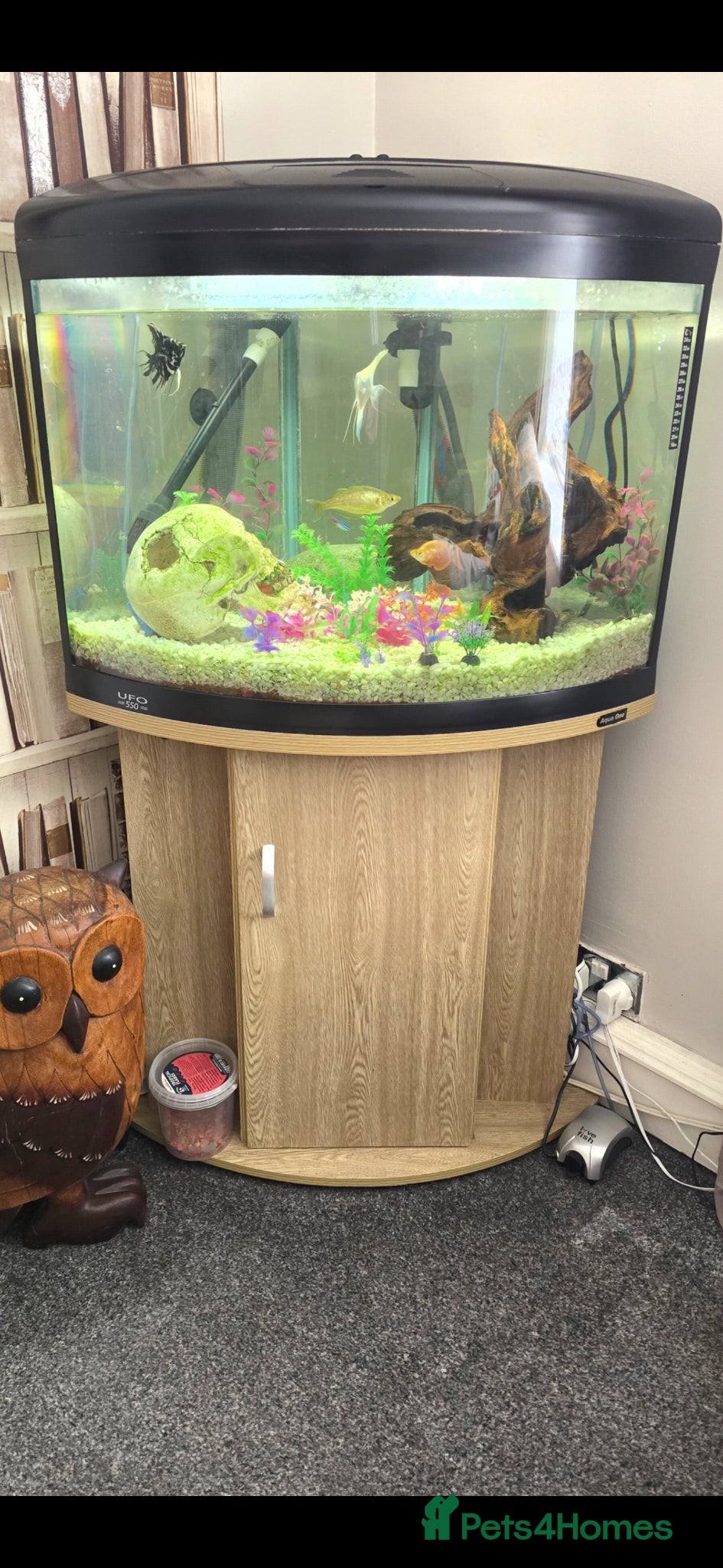 Other/Mixed Breed fish Aquarium  - Advert 1