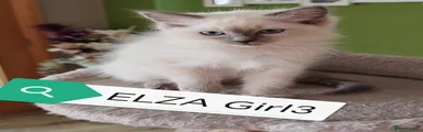 Elza