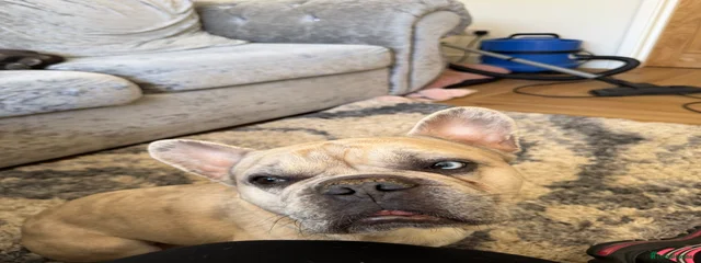 Winston 