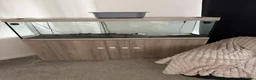 Cichlids fish for sale: Eheim vivaline 240 full set up - Advert 3