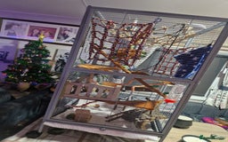 Sugar Glider rodents for sale: 3 sugar gliders and full set up - Advert 14