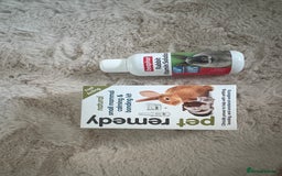 Lionhead rabbits for sale: two friendly lionhead rabbits ,includes pen ect - Image 9