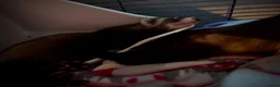 Ferret rodents for sale: 2 Male Part Angorra Hob Kits - Advert 3