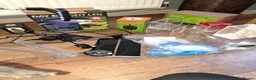 Tarantulas invertebrates for sale: Collection of tarantulas & equipment for new home  - Advert 4