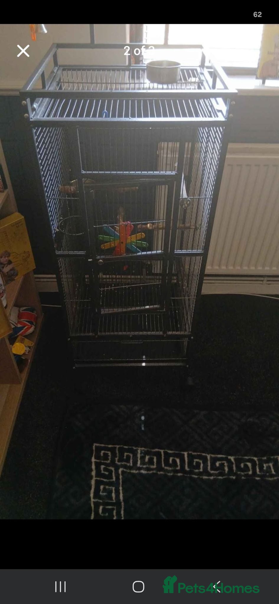 Mixed Breed birds Bird cage - Advert 1