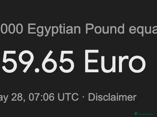 Akita dogs TEST LISTINGS - Advert 1