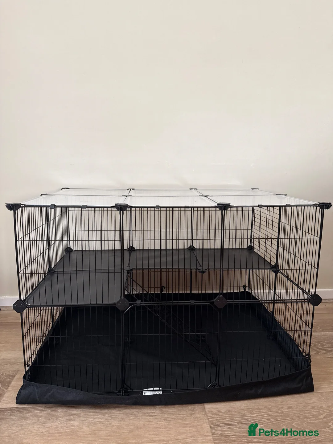 Ferret rodents for sale: Ferret + Cage + Food - Advert 2