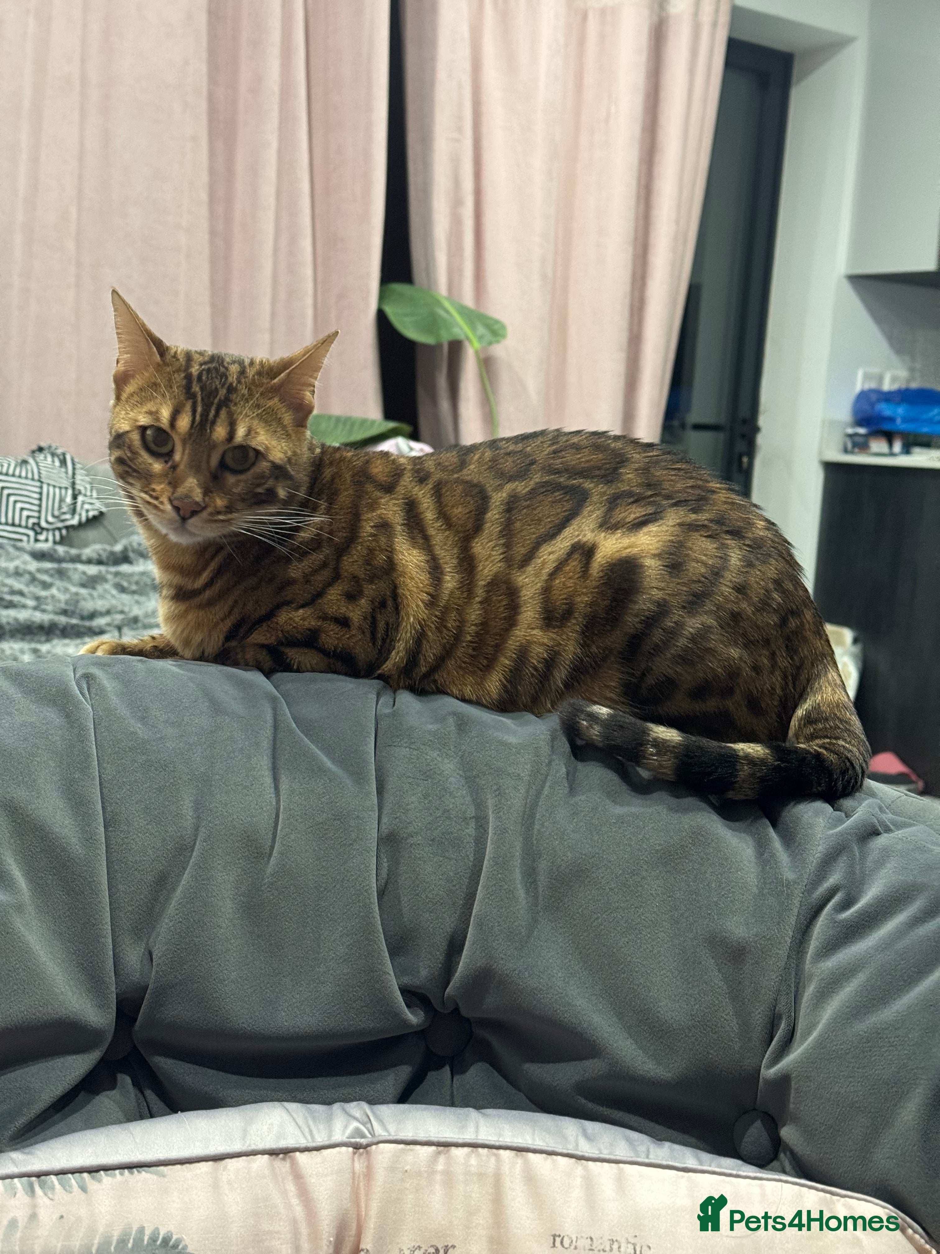 ‘Freya’ aka Squishy