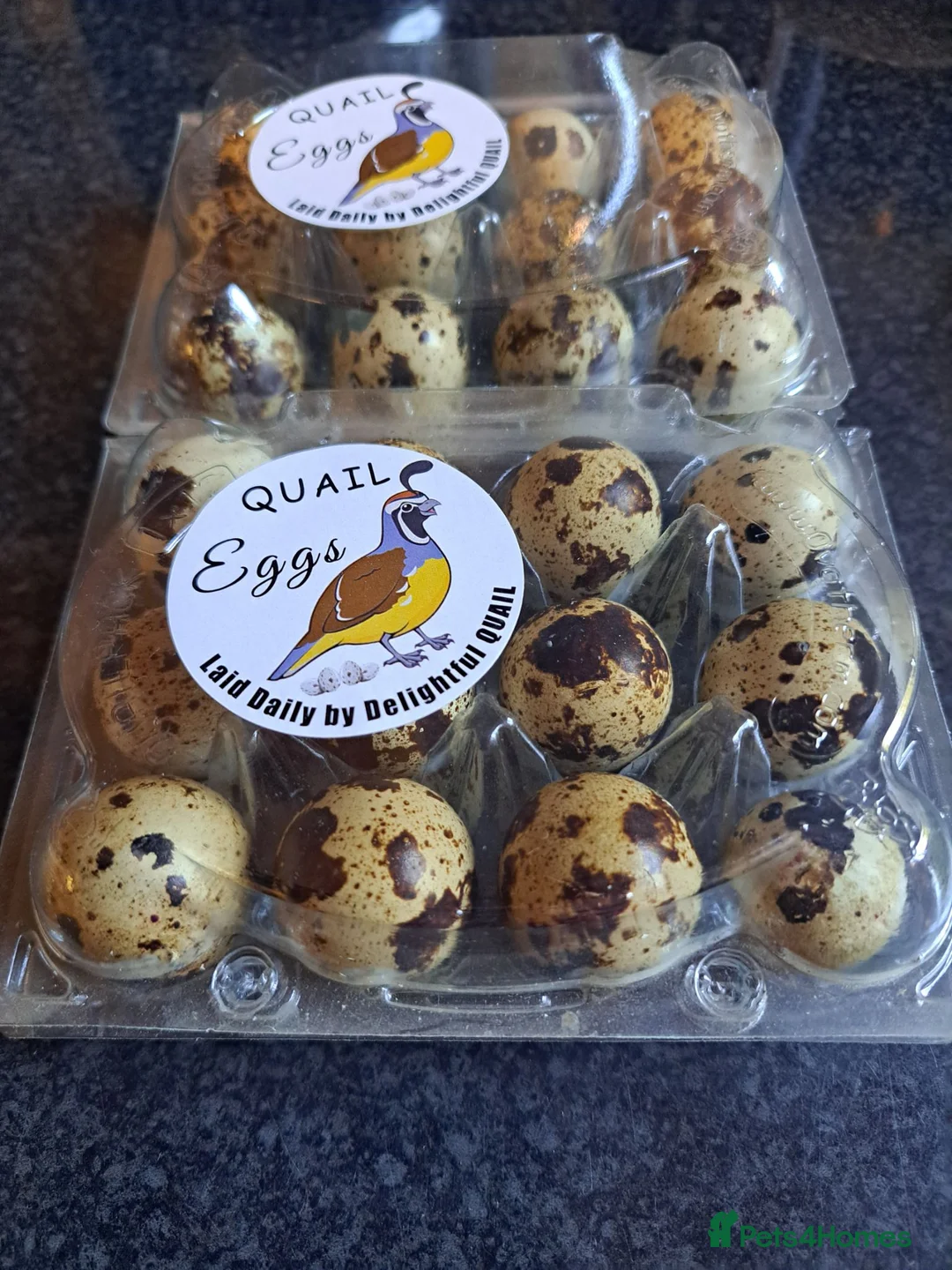 Quail poultry for sale: Quails eggs  - Advert 1