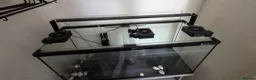 Other/Mixed Breed fish for sale: fish tank & unit  - Advert 4