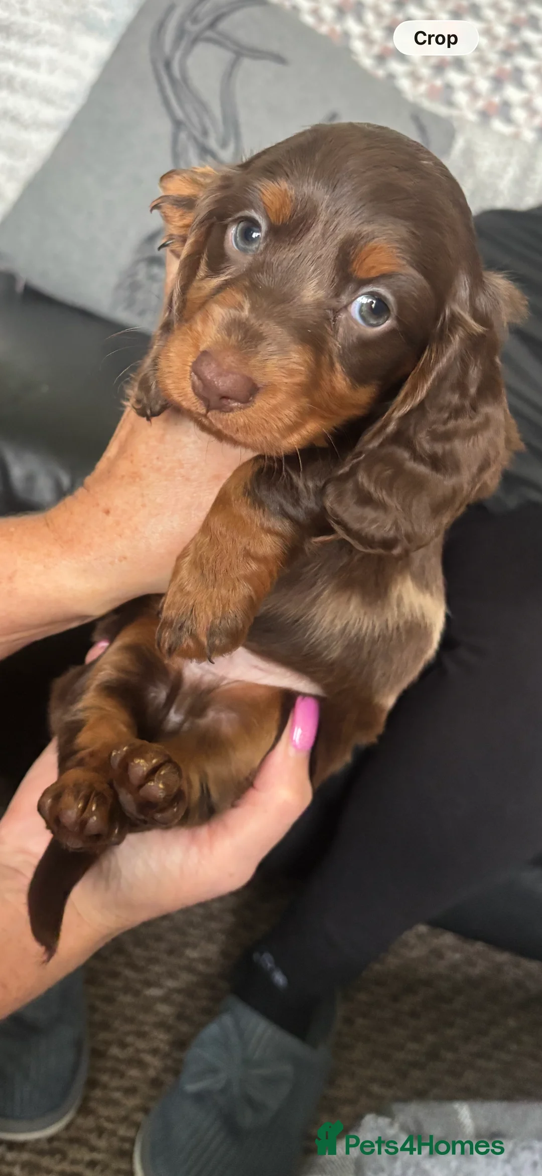 Gallery Image {{count}}