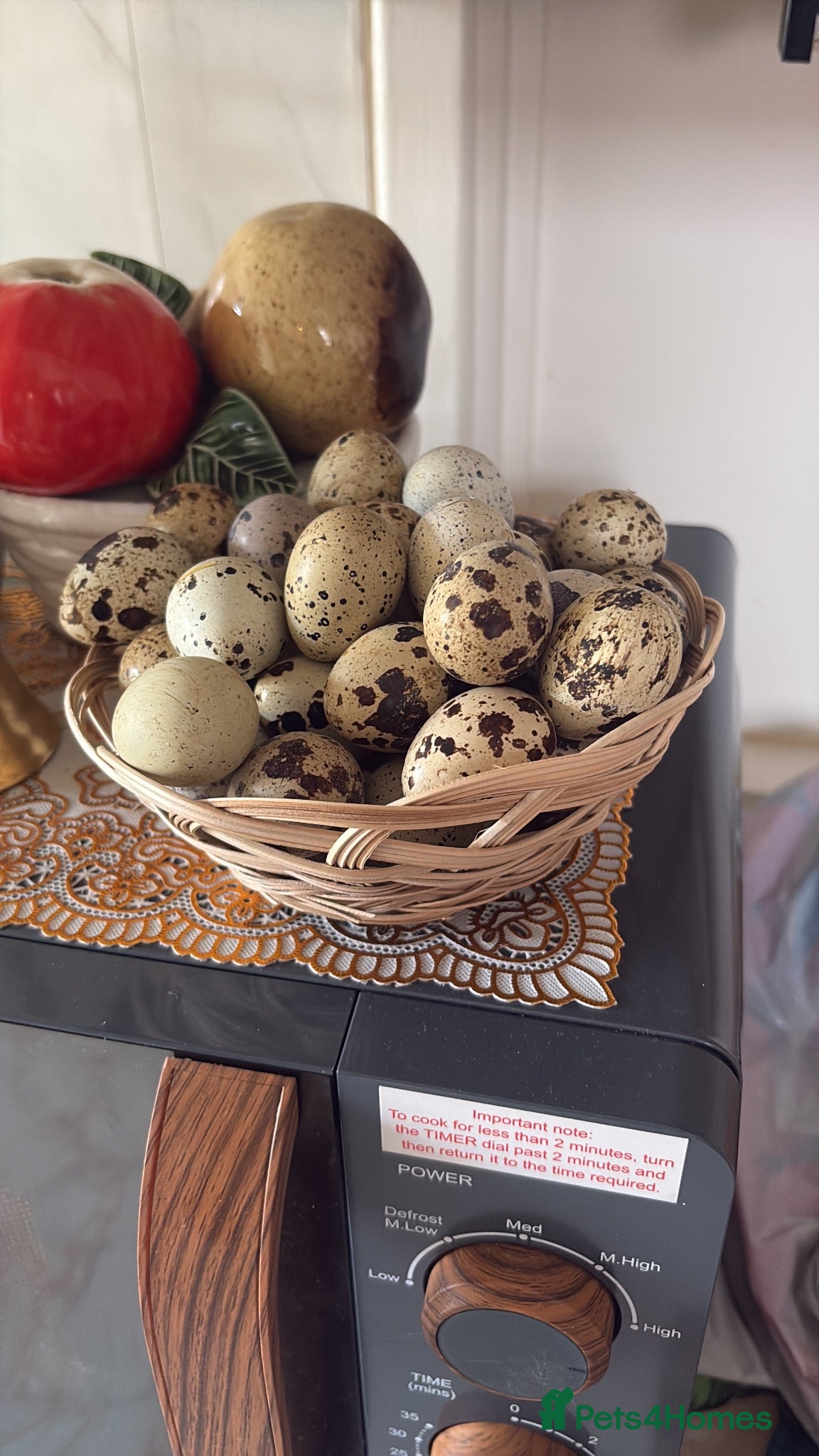 Quail poultry Quails for sale - Advert 1