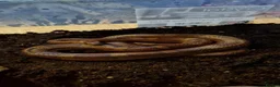 Corn Snake reptiles for sale: Corn snake for sale in Skelmersdale - Advert 1