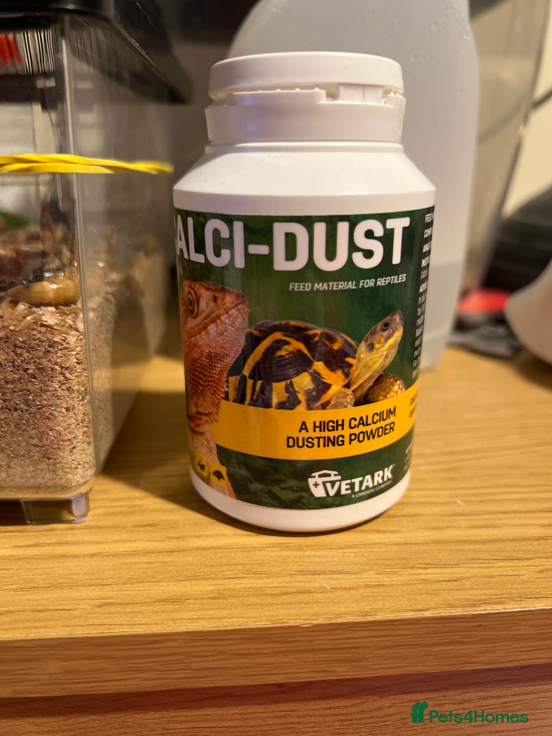 Bearded Dragon reptiles for sale: Bearded dragons for sale  - Advert 3