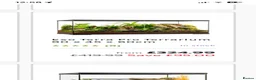 Python Snake reptiles for sale: firebelly x banana albino royal python - Advert 9