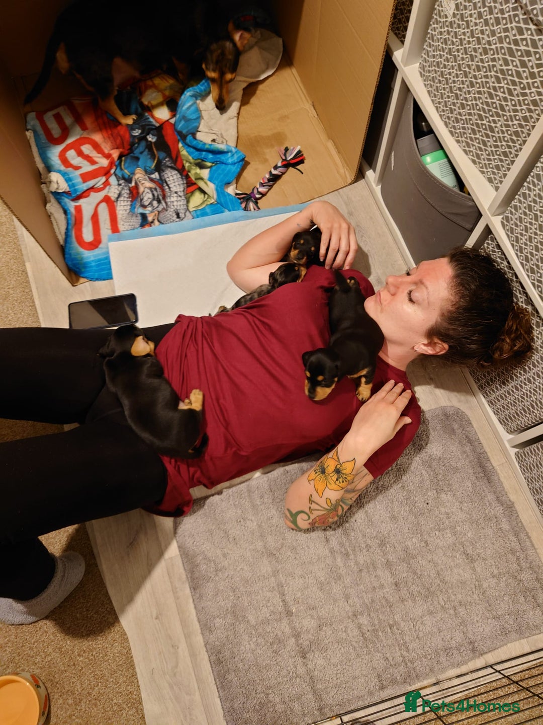 Gallery Image {{count}}