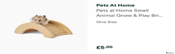 Rat rodents for sale: Loving Home Wanted for Two Male Rats + Full Setup - Advert 22