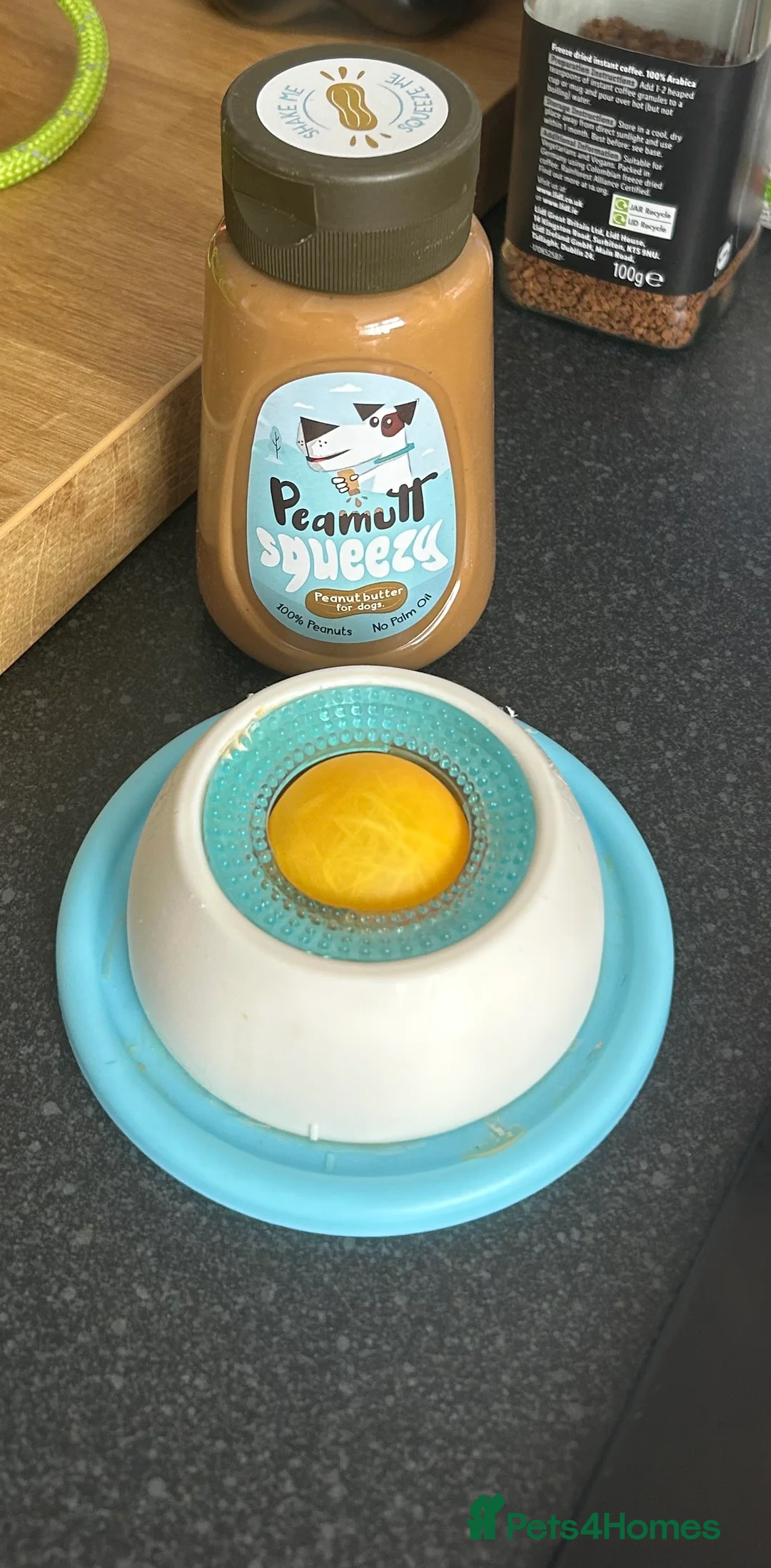 French Bulldog dogs for sale: Poppy - Advert 16