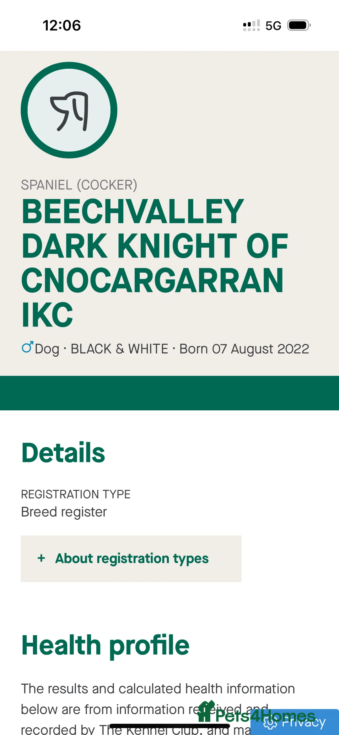 Cocker Spaniel dogs for stud: Working Cocker Spaniel available for Stud  in Chelmsford - Advert 19