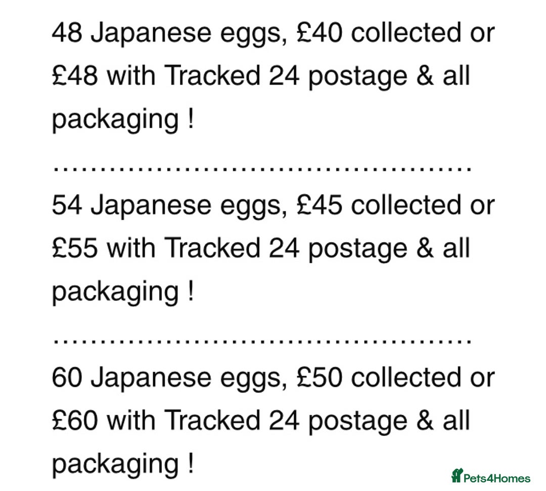 Quail poultry for sale: QUAIL HATCHING EGGS/1ST SEPTEMBER ! - Image 8