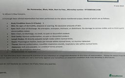 Pomeranian dogs for sale: Stunning young male Pomeranian  - Advert 6