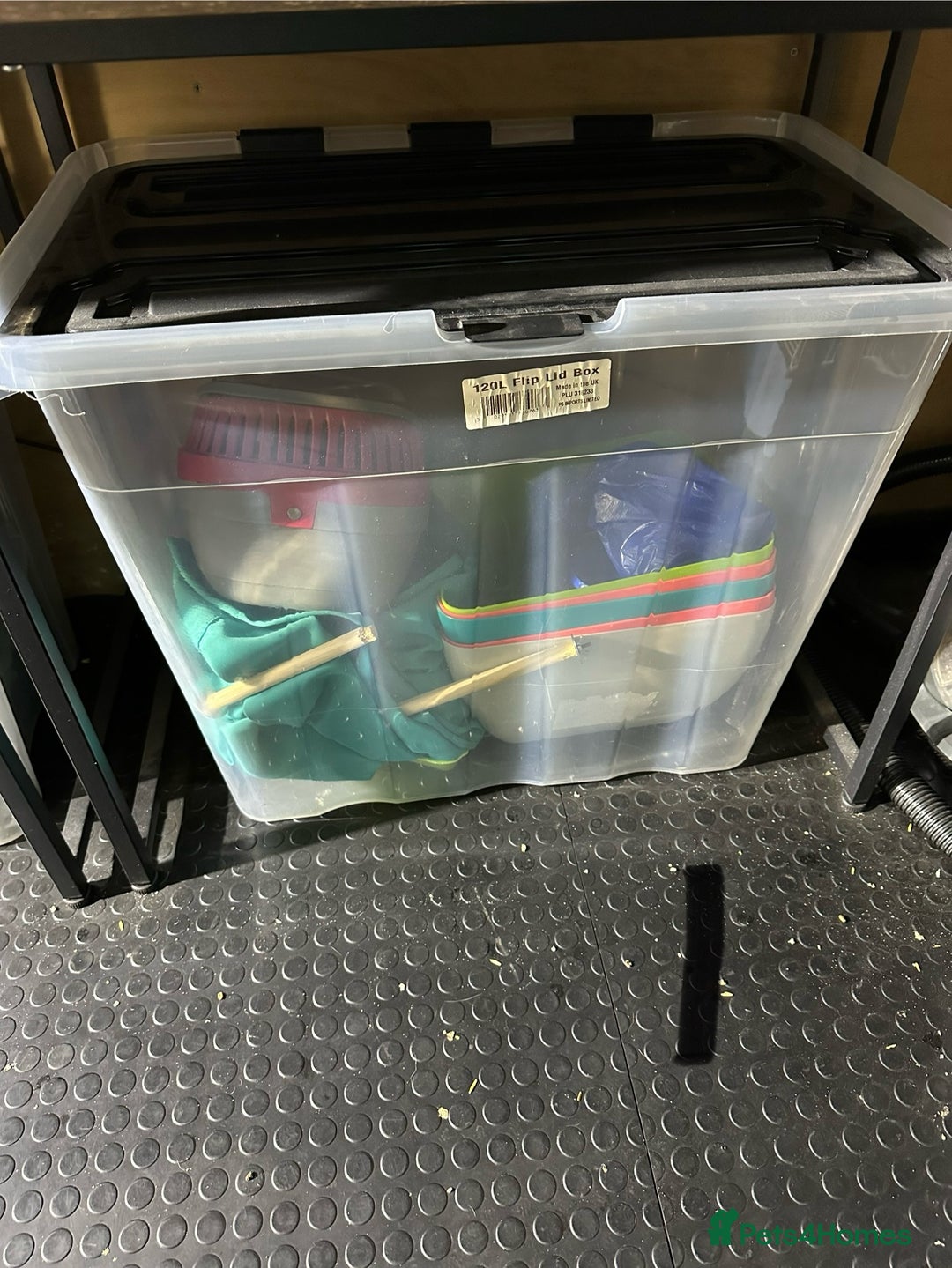 Rat rodents for sale: Rats & complete set up - Image 8