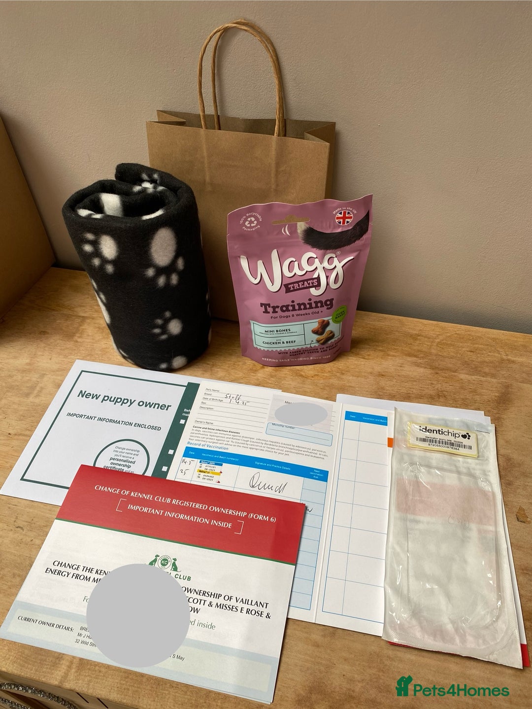 Staffordshire Bull Terrier dogs for sale: SBT CHAMPION BLOODLINE FURY & CLEO - Advert 2